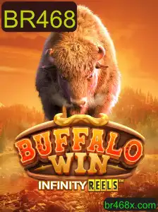 BuffaloWin: Uma Nova Jornada no Mundo dos Jogos